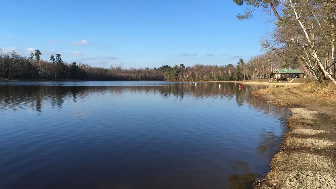 Photo of Others in Chalais