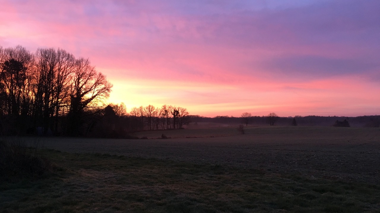 Photo of Others in Chalais