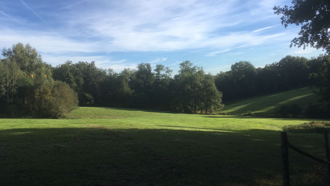 Photo of Others in Chalais