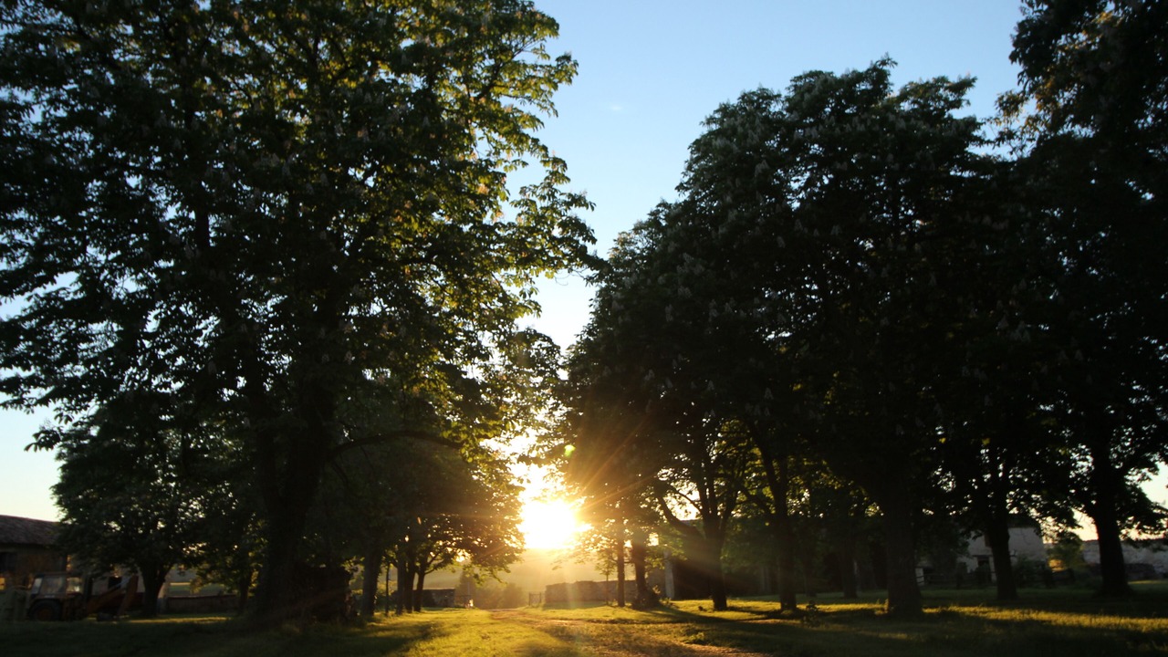 Photo of Outdoor in Lamothe-Goas