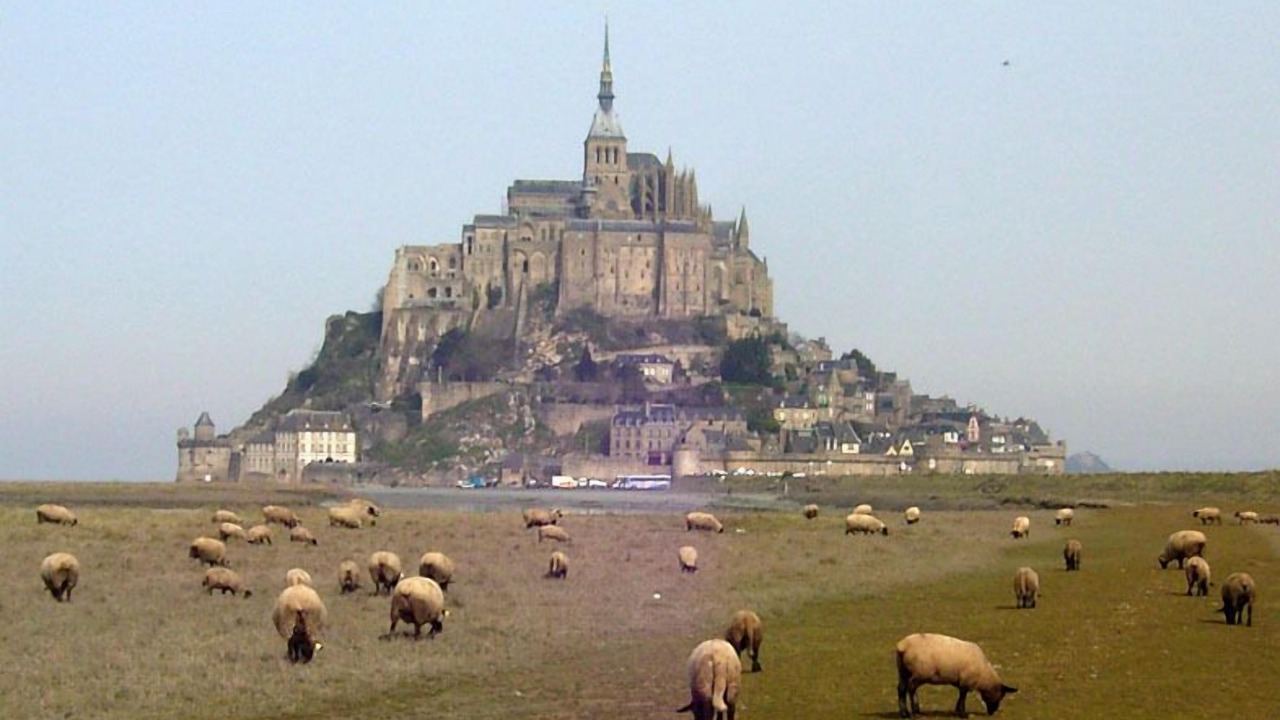 Photo of Others in Sartilly-Baie-Bocage