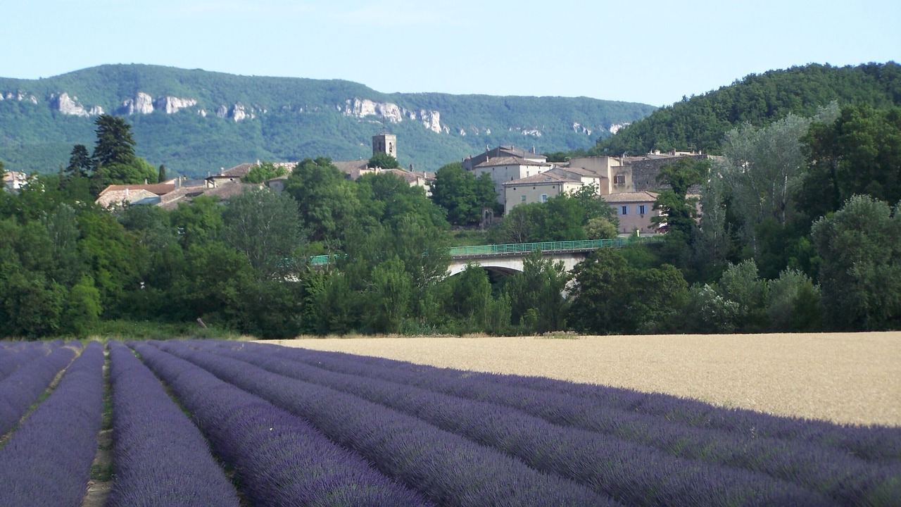 Photo of Outdoor in Charols