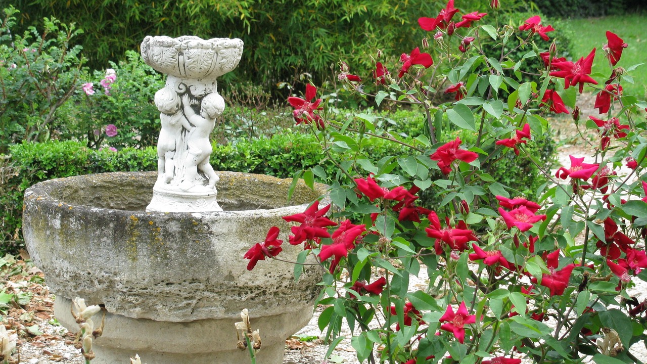 Photo of Outdoor in Charols