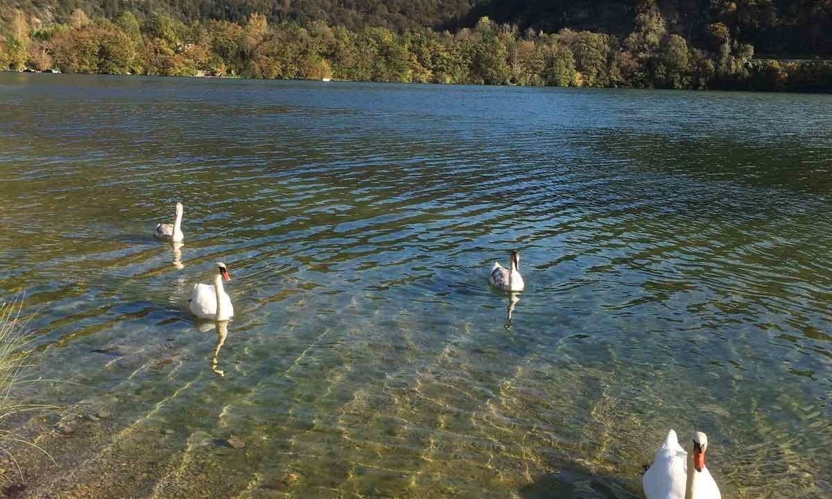 Photo of Others in Condes