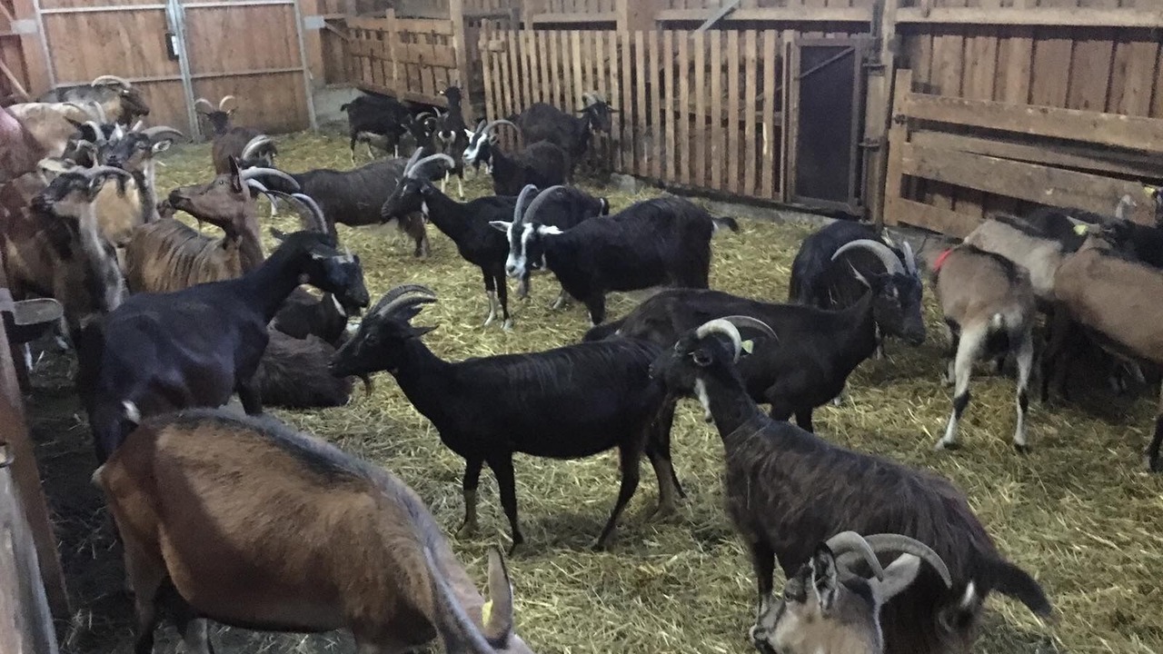 Photo of Others in Condes