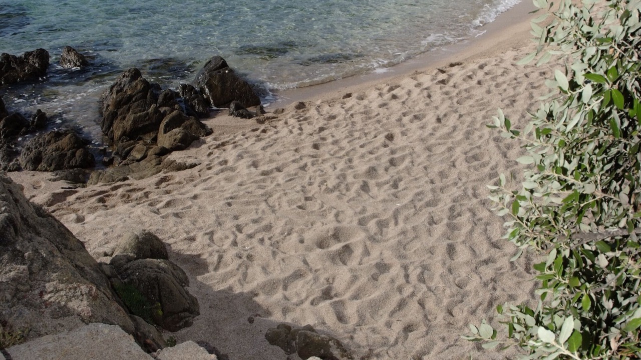 Photo of Others in Favone