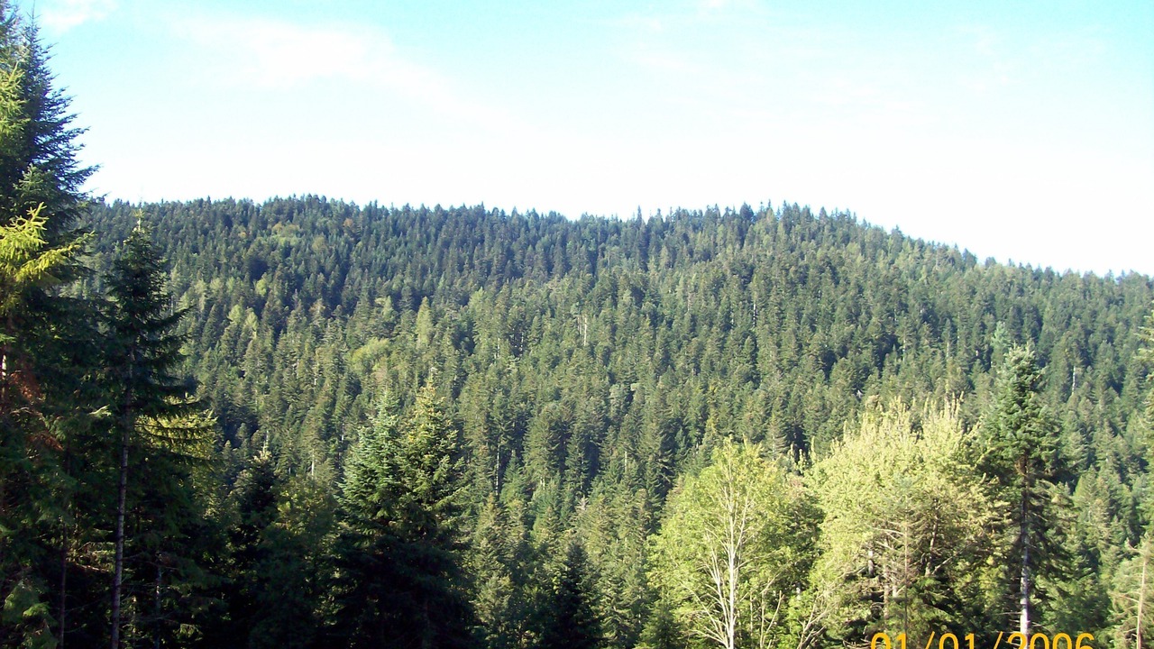 Photo of Others in Fougax-et-Barrineuf