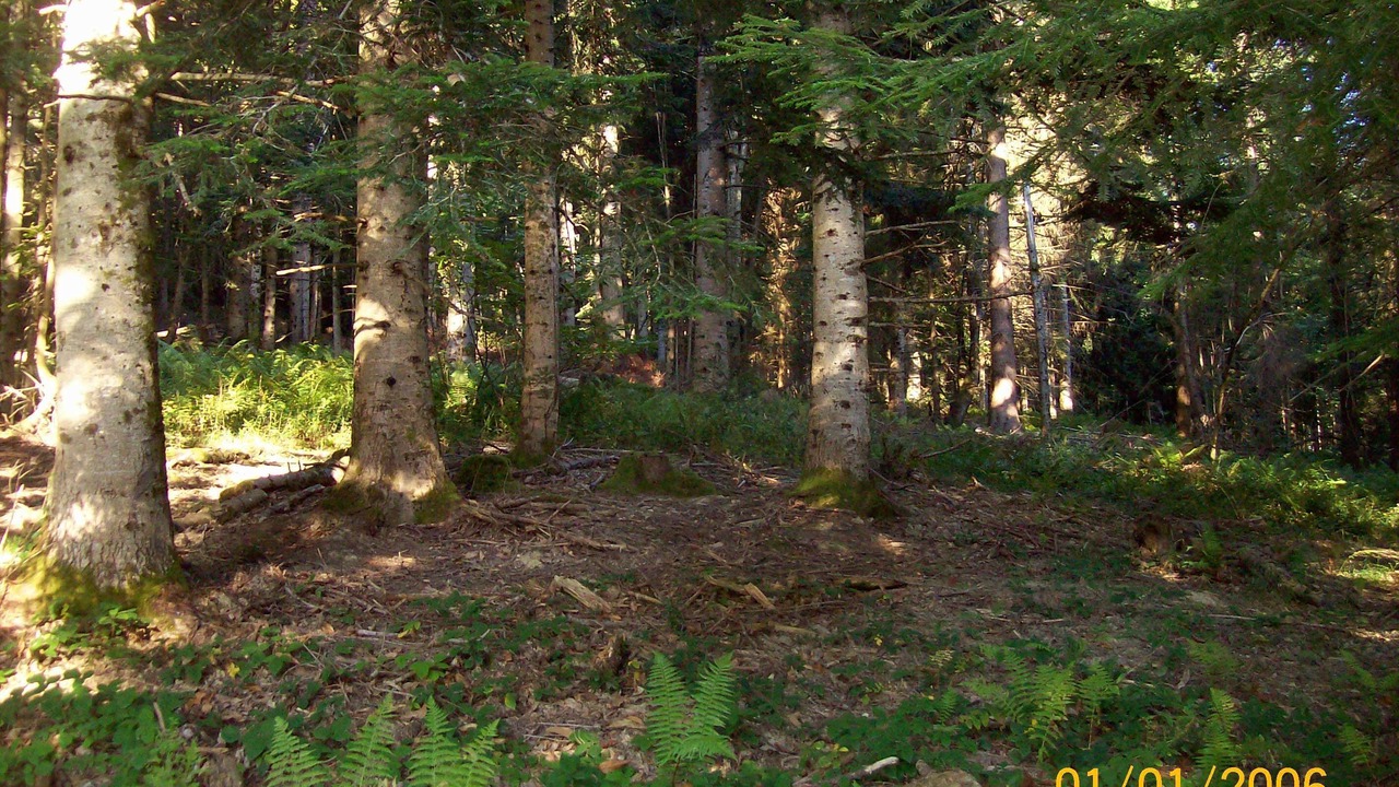 Photo of Outdoor in Fougax-et-Barrineuf