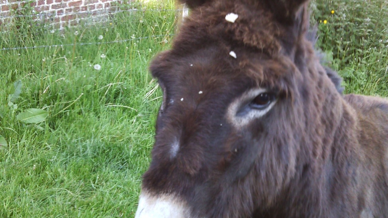 Photo of Outdoor in Oneux