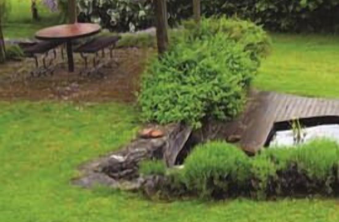 Photo of Outdoor in Donzy