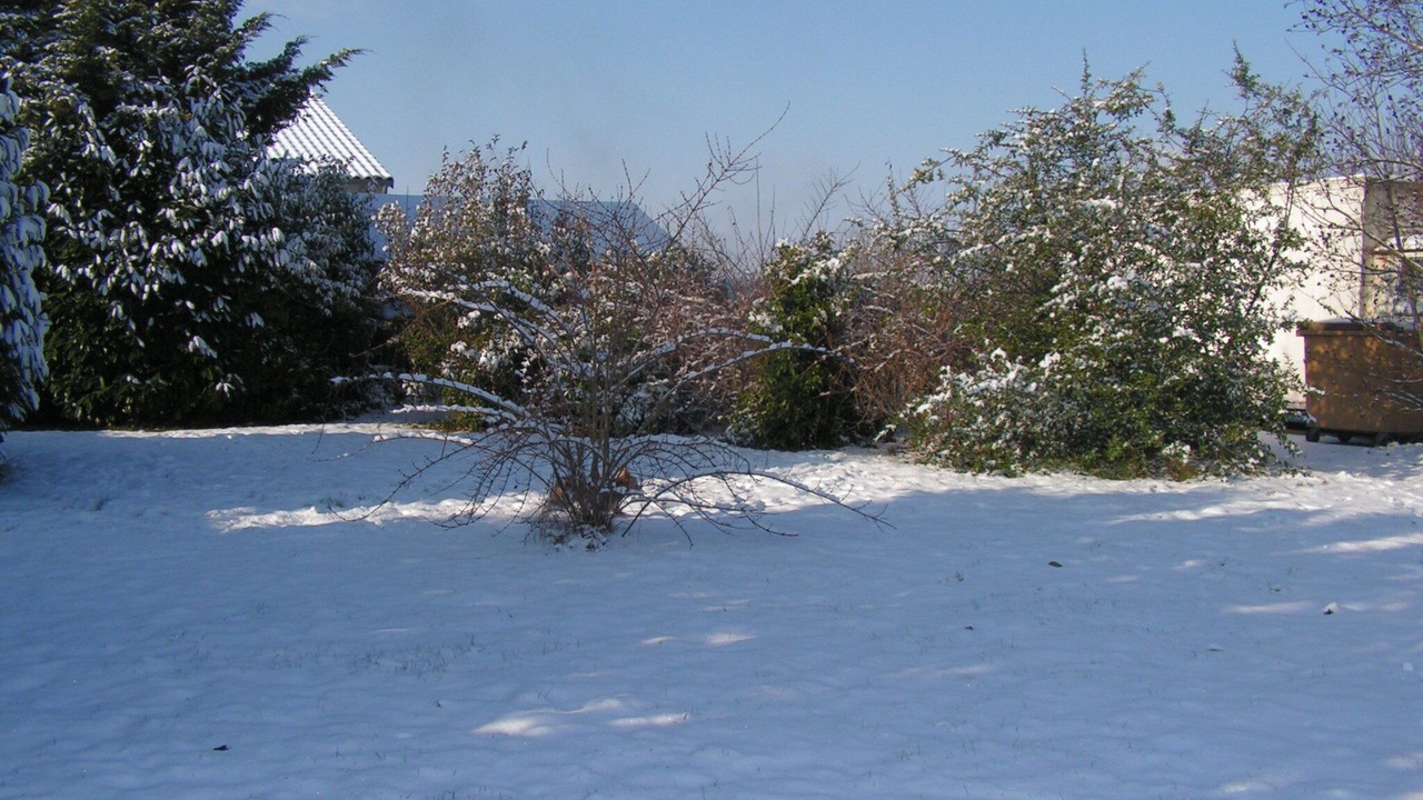 Photo of Outdoor in Massais