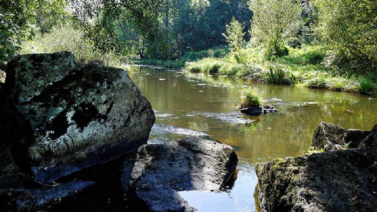 Photo of Others in Massais