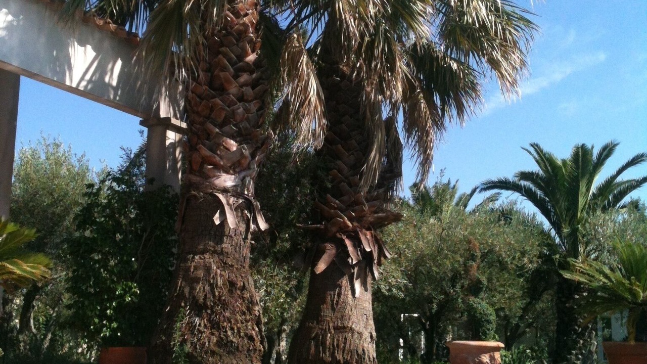 Photo of Outdoor in Gallician