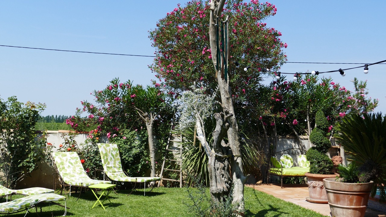 Photo of Outdoor in Gallician
