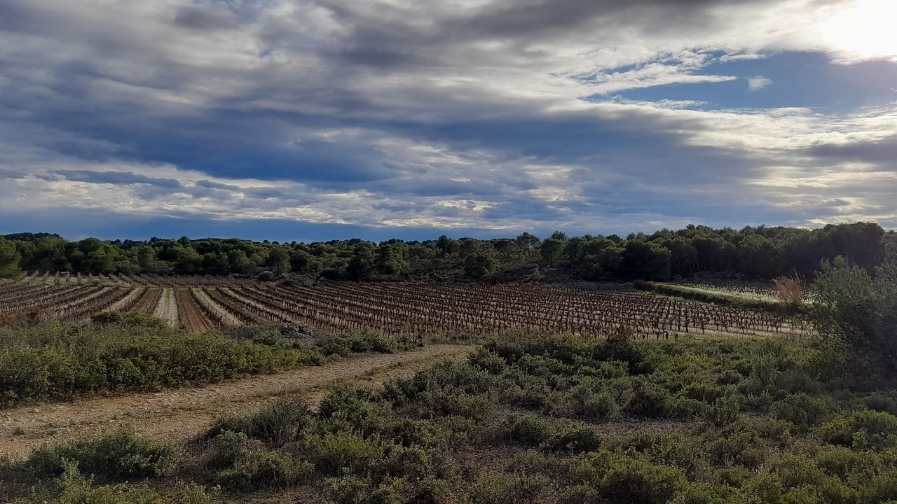 Photo of Outdoor in Montagnac