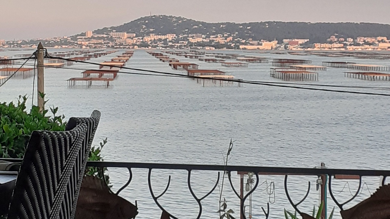 Photo of Outdoor in Montagnac
