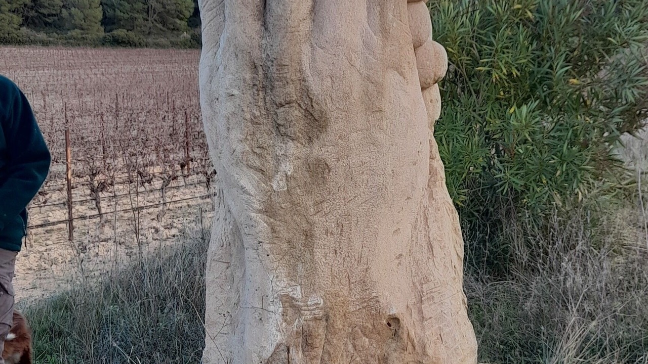 Photo of Outdoor in Montagnac