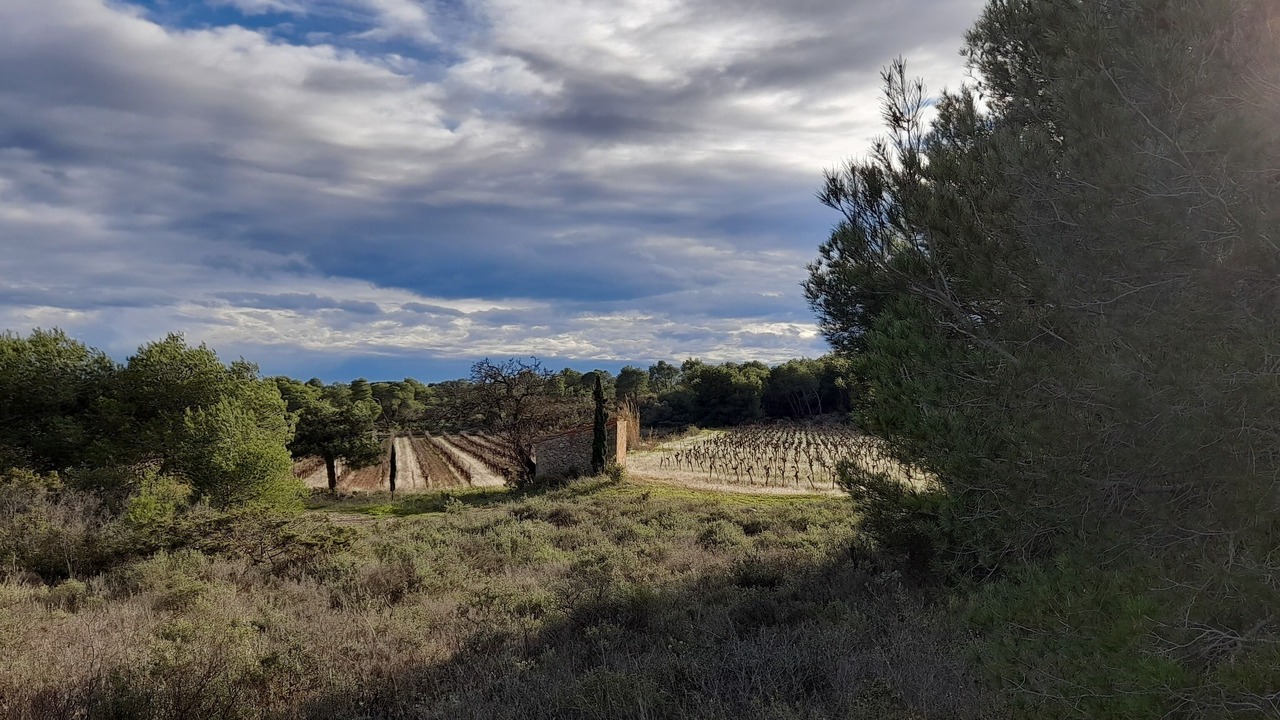 Photo of Outdoor in Montagnac