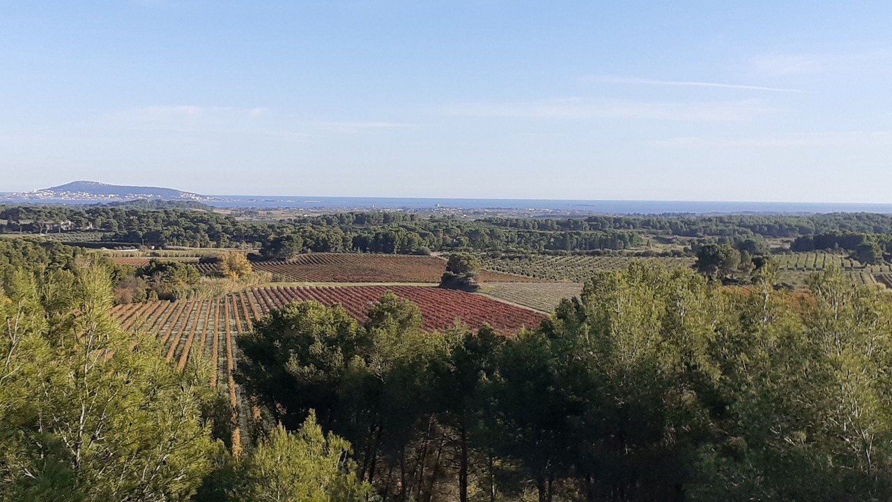 Photo of Others in Montagnac
