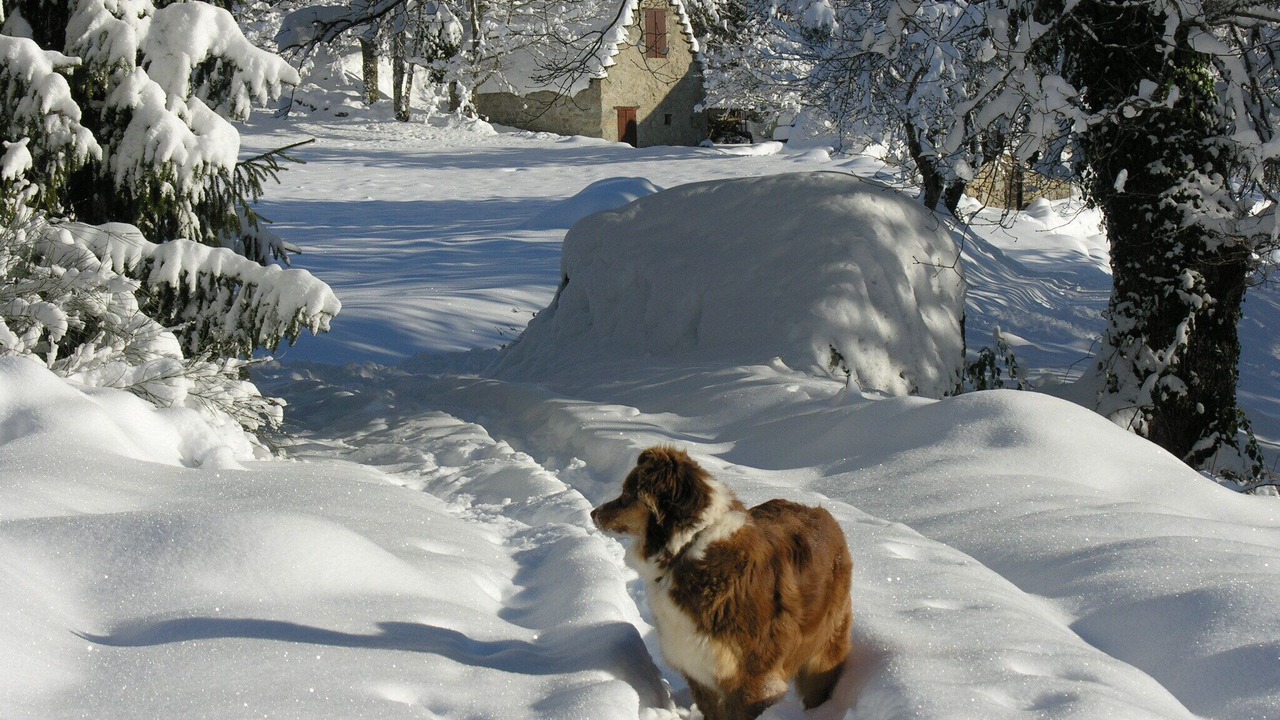 Photo of Outdoor in Oust