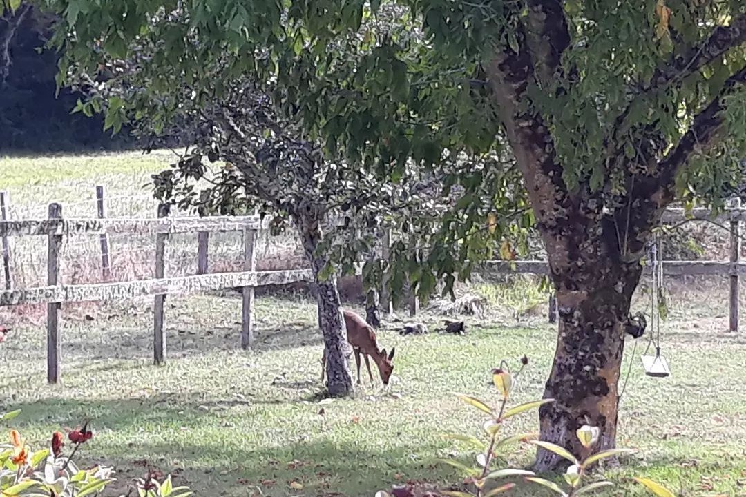 Photo of Outdoor in Sigalens