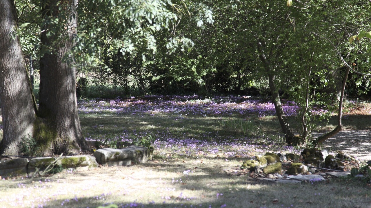 Photo of Outdoor in Villeneuve-sur-Lot