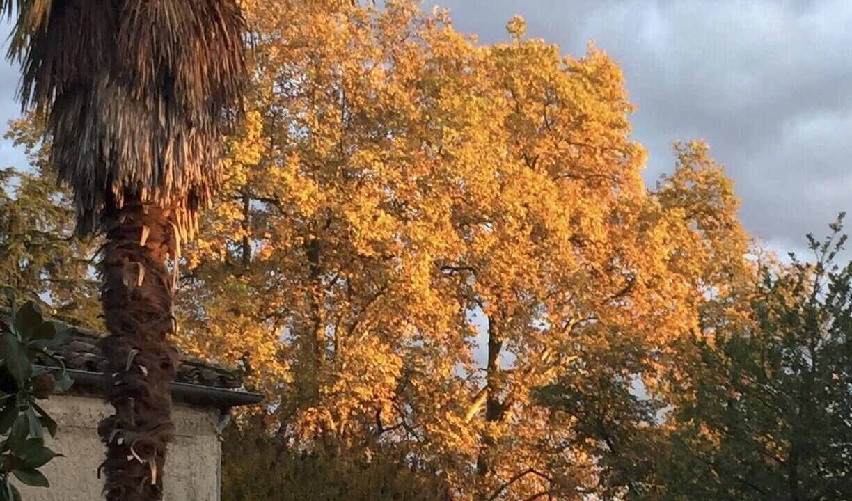 Photo of Outdoor in Villeneuve-sur-Lot