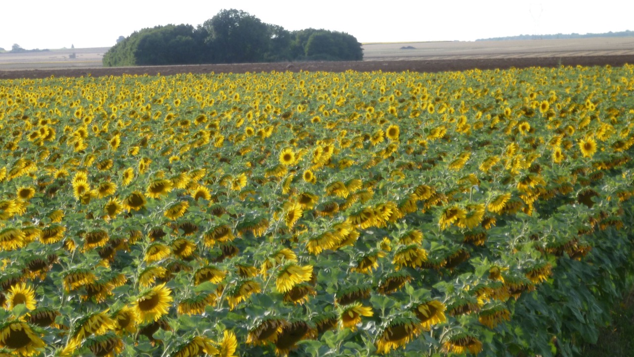 Photo of Outdoor in Assais-les-Jumeaux