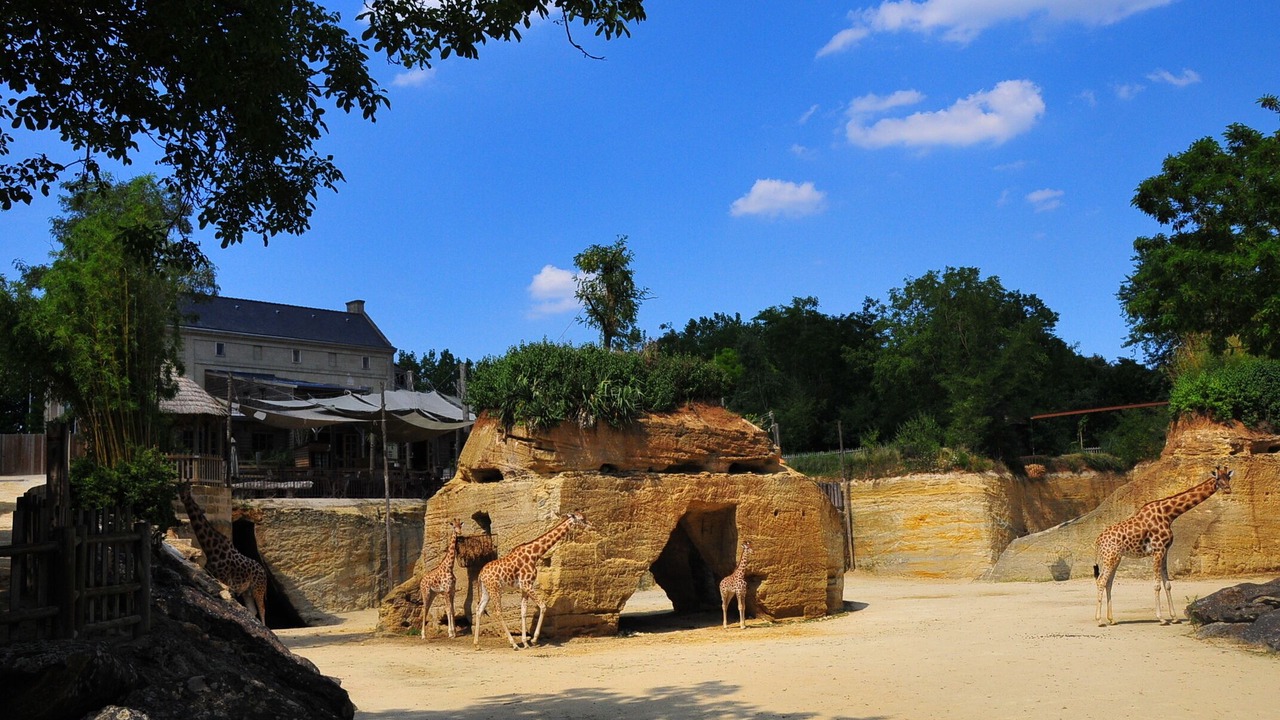Photo of Outdoor in Assais-les-Jumeaux