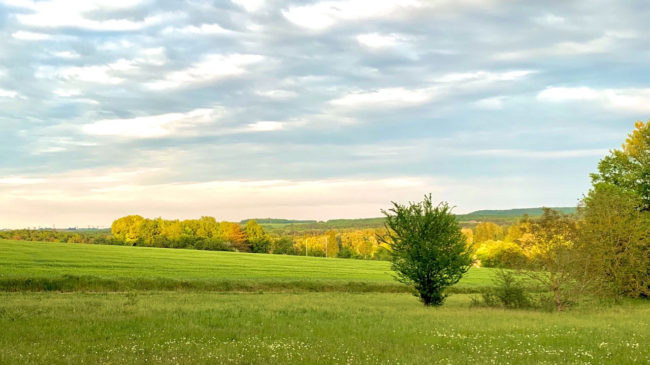 Photo of Outdoor in Montigny-sur-Loing