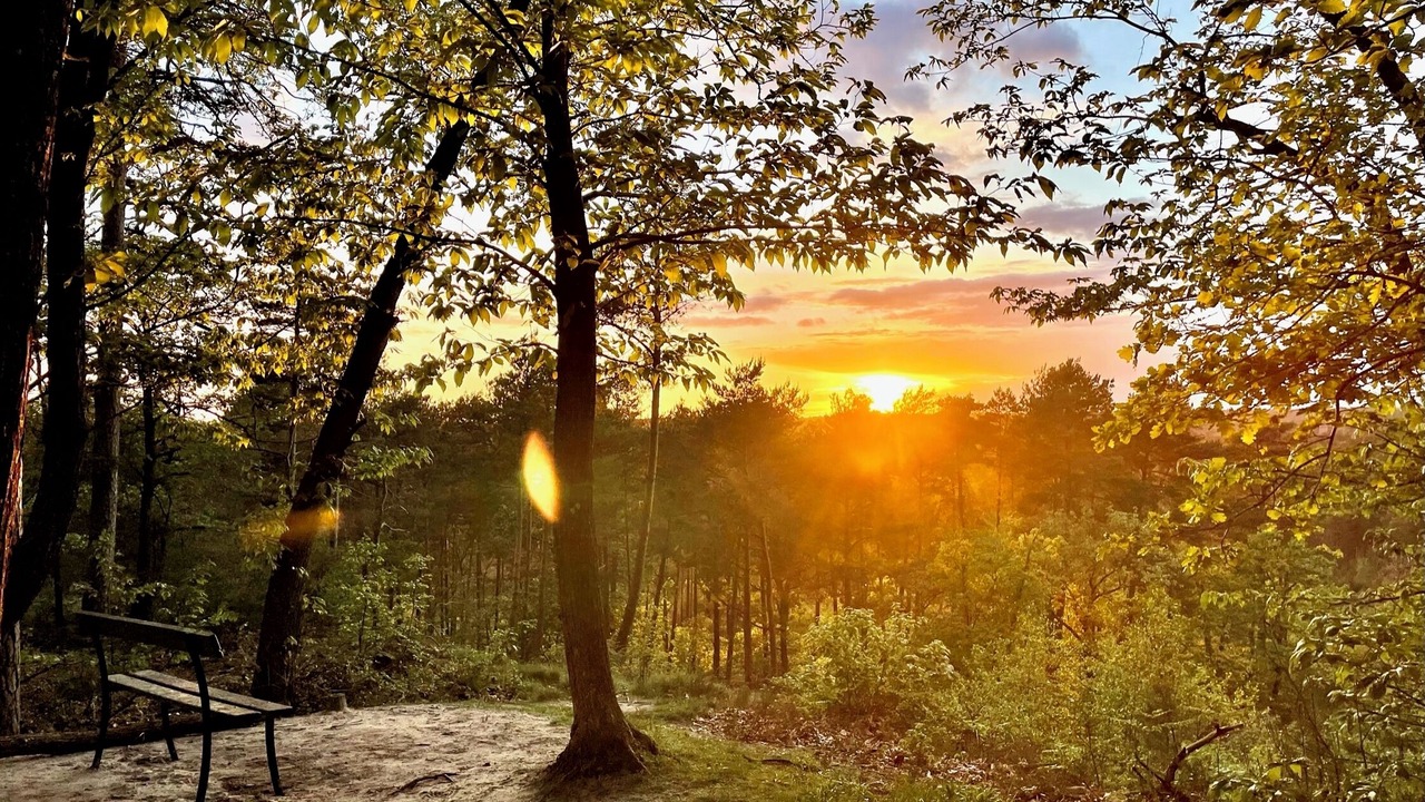 Photo of Outdoor in Montigny-sur-Loing