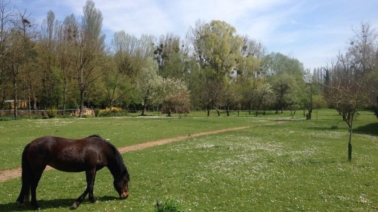 Photo of Others in Montigny-sur-Loing