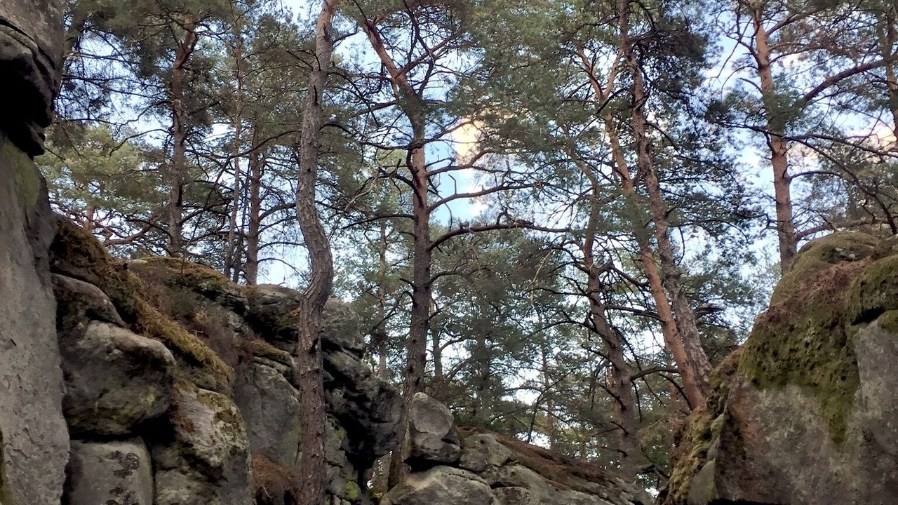 Photo of Outdoor in Montigny-sur-Loing