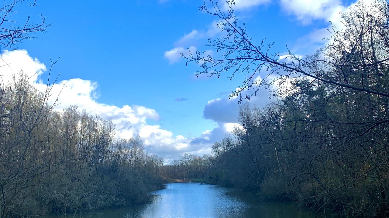 Photo of Others in Montigny-sur-Loing