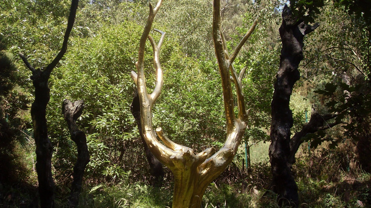 Photo of Outdoor in Bruc-sur-Aff