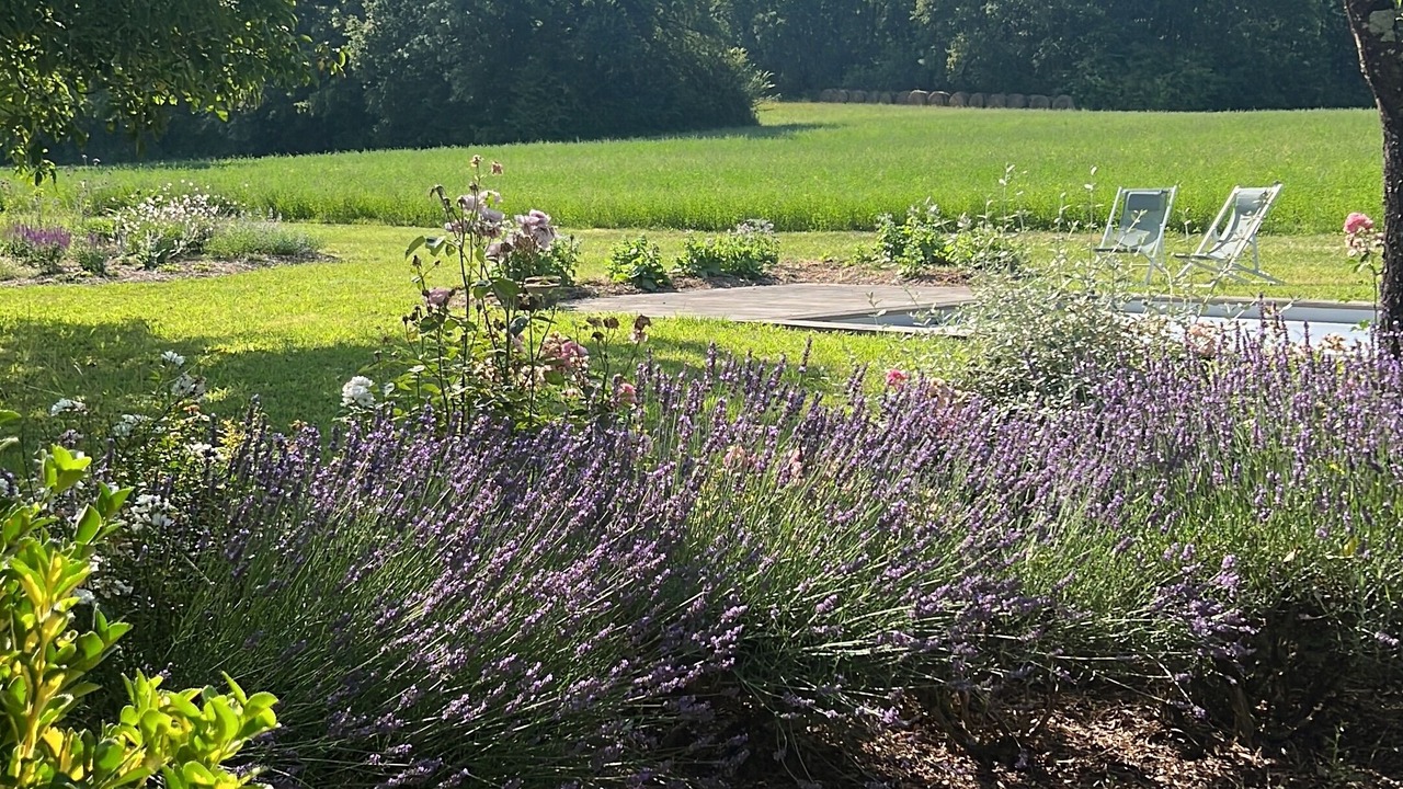 Photo of Outdoor in Rives