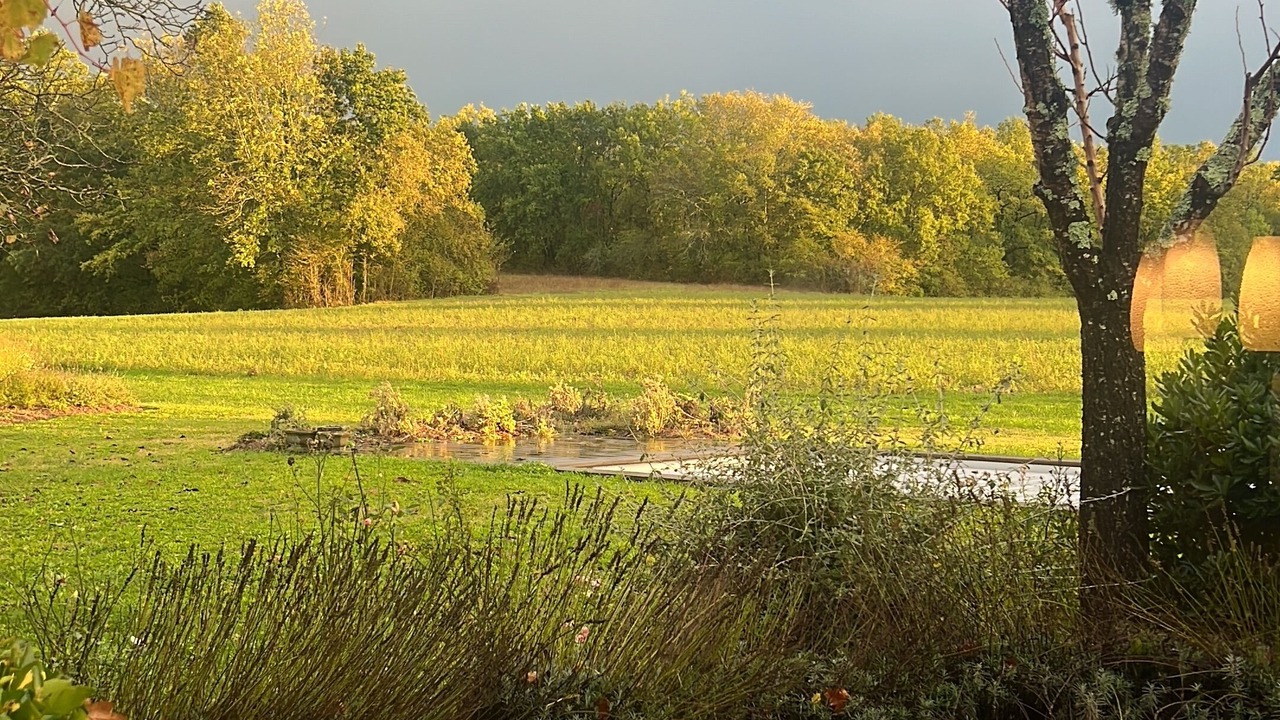 Photo of Outdoor in Rives