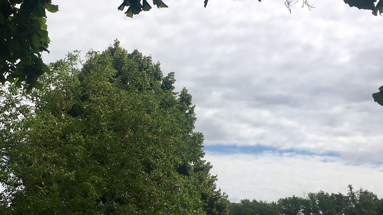 Photo of Outdoor in Rives