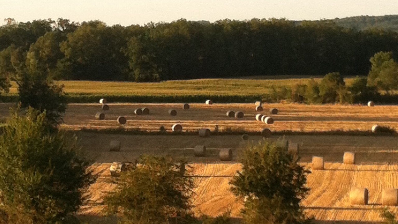 Photo of Outdoor in Rives