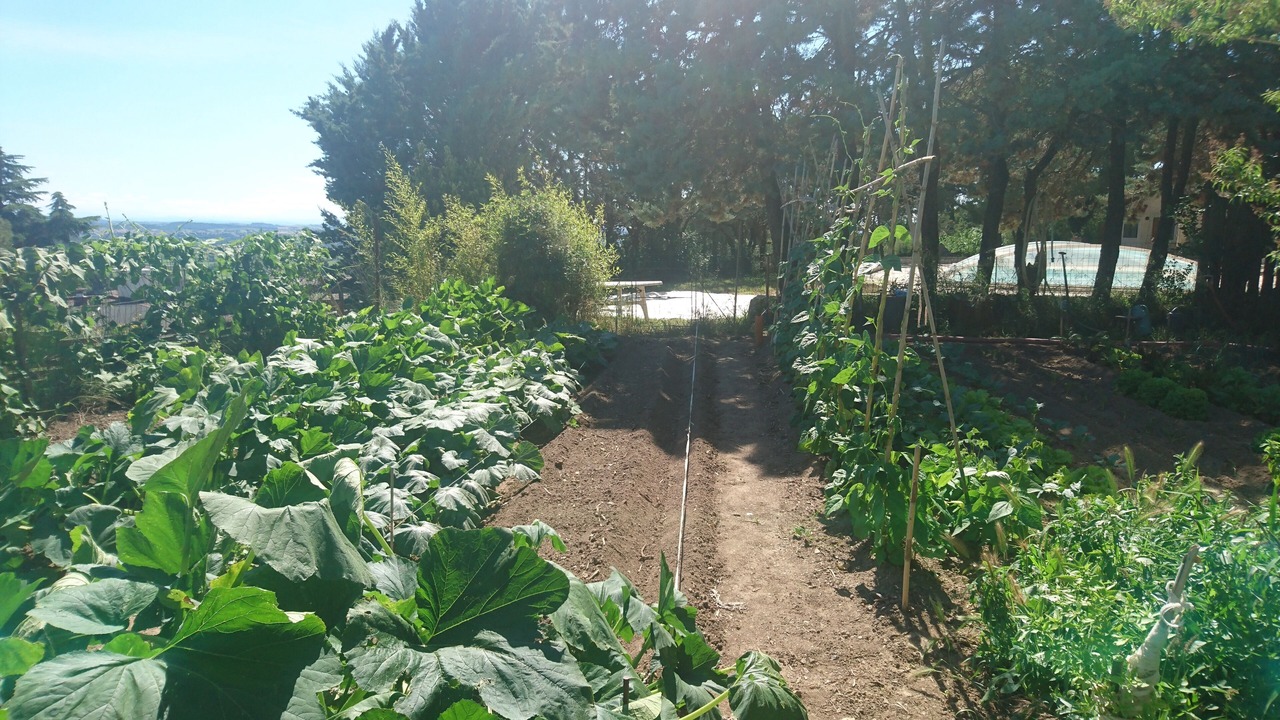 Photo of Outdoor in Corneilhan
