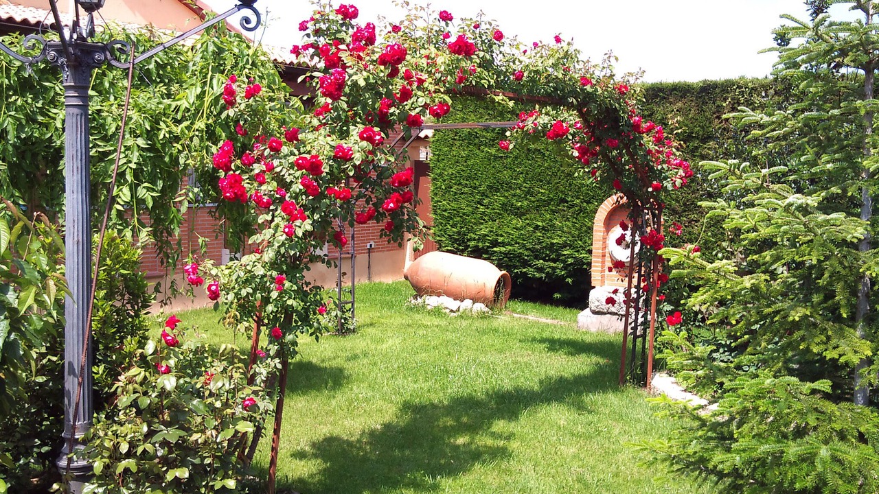 Photo of Outdoor in Baterna