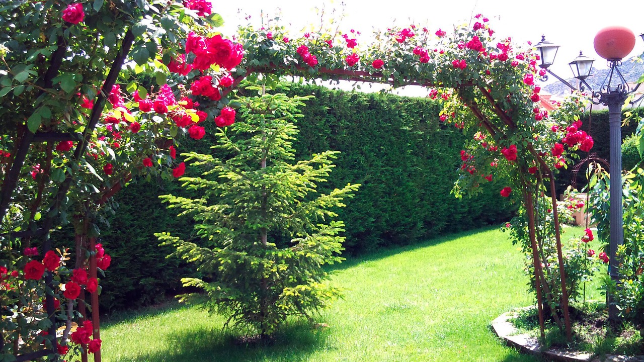 Photo of Outdoor in Baterna