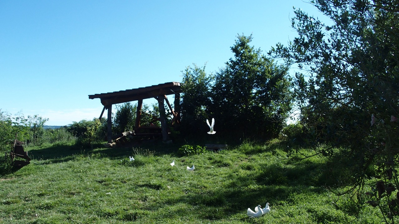 Photo of Outdoor in Saint-Mezard
