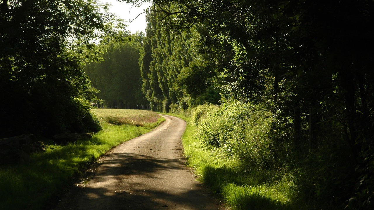 Photo of Outdoor in Boncourt