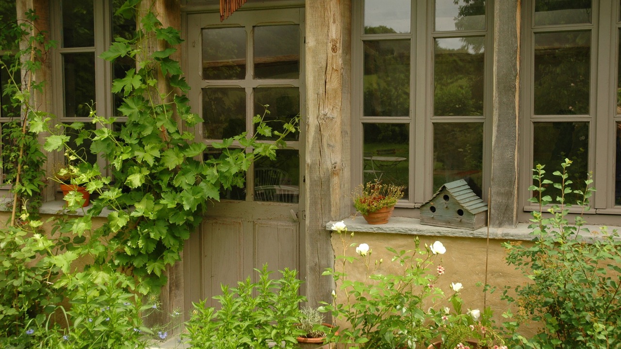 Photo of Outdoor in Boncourt