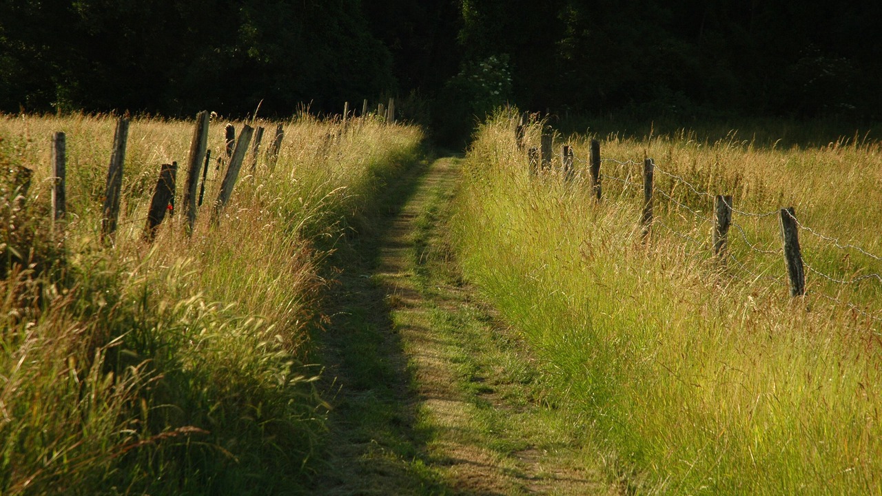 Photo of Outdoor in Boncourt