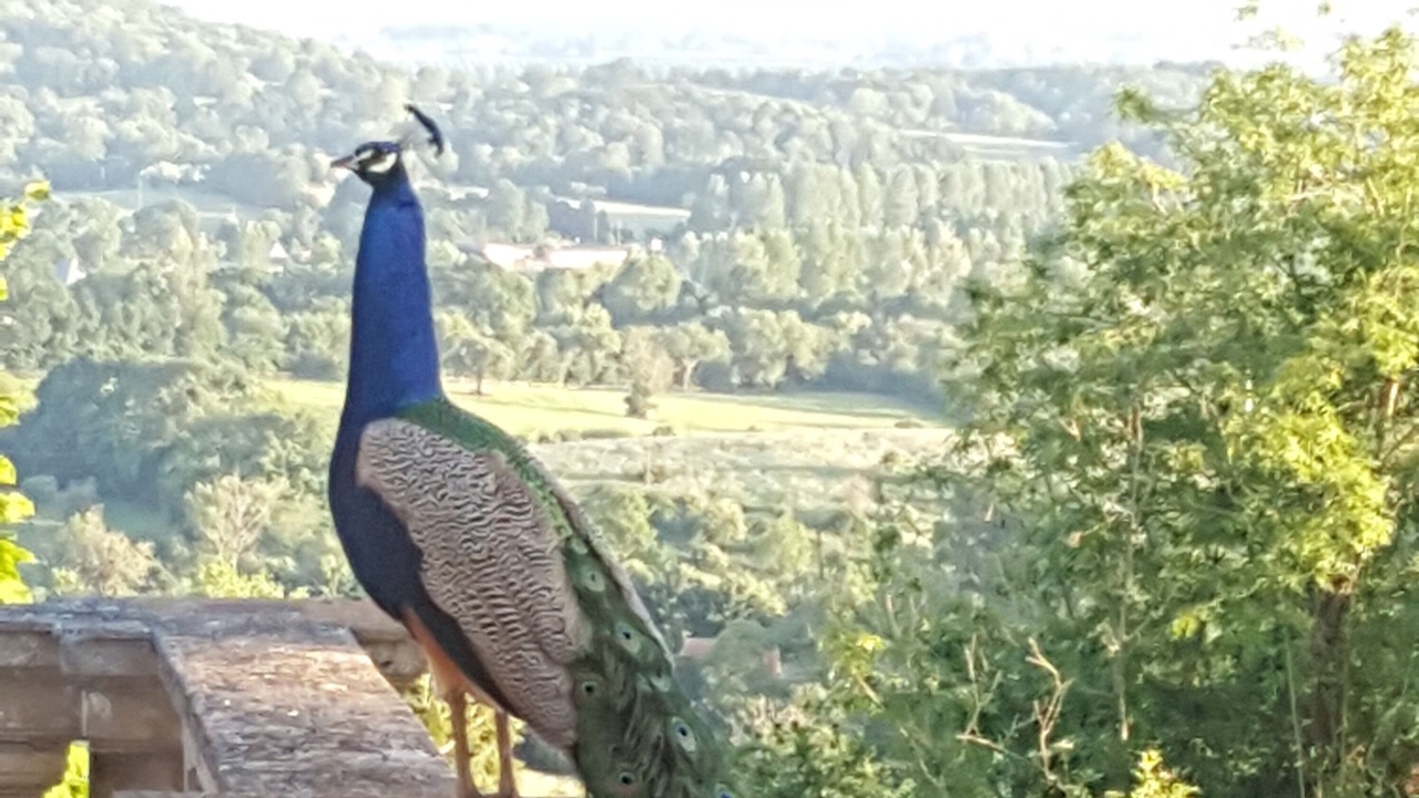 Photo of Outdoor in Dives-sur-Mer