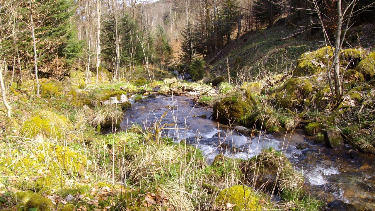 Photo of Outdoor in Taintrux
