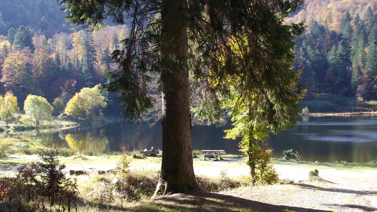 Photo of Outdoor in Taintrux