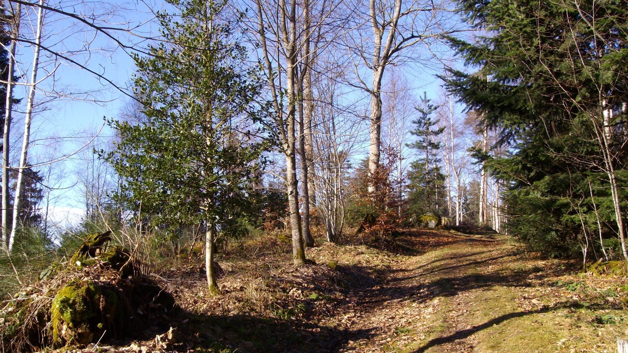 Photo of Outdoor in Taintrux